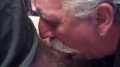 Moustache Daddy Sucking Cock